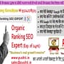 Website का SEO क्या है और SEO कैसे करते हैं? SEO Guide in Hindi